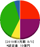 琉球造船鉄工 貸借対照表 2010年3月期