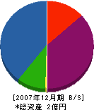 和田工務店 貸借対照表 2007年12月期