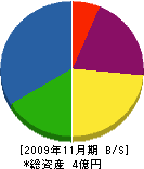 池田技建工業 貸借対照表 2009年11月期