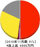 新井ホームサービス 損益計算書 2010年11月期