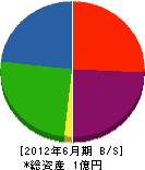 早川工務店 貸借対照表 2012年6月期