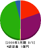 渡辺工務店 貸借対照表 2008年3月期