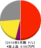札幌ダイトーテクノ 損益計算書 2010年6月期