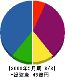 野田建設 貸借対照表 2008年5月期