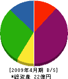 近畿昭建 貸借対照表 2009年4月期