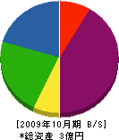 神奈川建設 貸借対照表 2009年10月期