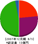日江環境開発 貸借対照表 2007年12月期