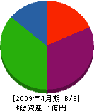 ライトジャパン 貸借対照表 2009年4月期