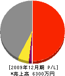 橋本組 損益計算書 2009年12月期