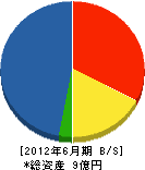 栄城設備工業 貸借対照表 2012年6月期