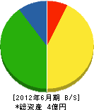 香坂建設 貸借対照表 2012年6月期
