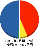 勇志 貸借対照表 2013年3月期