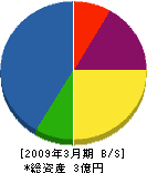 名田庄森林組合 貸借対照表 2009年3月期