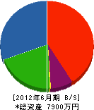 秋田造園土木 貸借対照表 2012年6月期