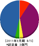 渡辺建設 貸借対照表 2011年8月期