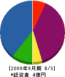 日本電機商会 貸借対照表 2009年9月期