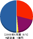 冨士工営 貸借対照表 2008年6月期