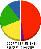 津志田左官工業所 貸借対照表 2007年12月期