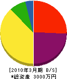 野田組 貸借対照表 2010年3月期