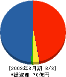 伊藤忠フーデック 貸借対照表 2009年3月期