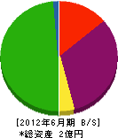 太田石材店 貸借対照表 2012年6月期