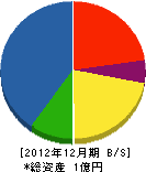 戸田電工 貸借対照表 2012年12月期