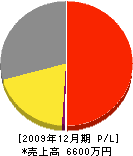 糸魚川防災 損益計算書 2009年12月期