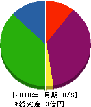 藤崎運送 貸借対照表 2010年9月期