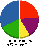 渡辺製材所 貸借対照表 2008年3月期