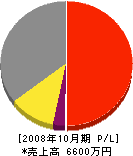 江ノ島鋪道 損益計算書 2008年10月期