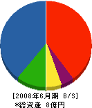 豊菱 貸借対照表 2008年6月期