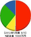 鹿沼どうだんセンター 貸借対照表 2012年5月期