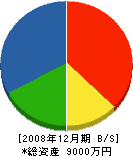 寺阪建築工房 貸借対照表 2008年12月期