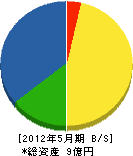 小島工業 貸借対照表 2012年5月期