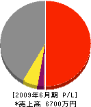 平井組 損益計算書 2009年6月期
