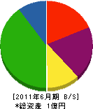 岡田商会 貸借対照表 2011年6月期