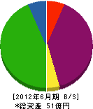 東日本ダイワ 貸借対照表 2012年6月期