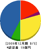 藤原組 貸借対照表 2009年12月期