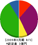 千葉緑化土木 貸借対照表 2009年8月期