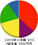 吉田防水店 貸借対照表 2010年12月期