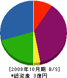 フロンティア・ミズノ 貸借対照表 2008年10月期