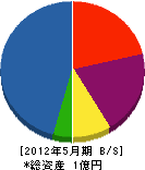 田電工房 貸借対照表 2012年5月期