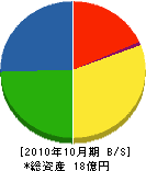 松野組 貸借対照表 2010年10月期