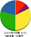 中川工務店 貸借対照表 2010年9月期