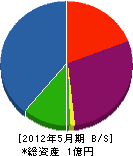 沢田工業 貸借対照表 2012年5月期