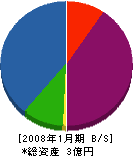 姫路電気通信工事 貸借対照表 2008年1月期