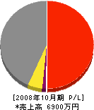 ヤナセ建設 損益計算書 2008年10月期