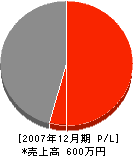 塚本木工製作所 損益計算書 2007年12月期