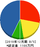 松崎電気工業所 貸借対照表 2010年12月期