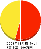 野田緑地 損益計算書 2009年12月期